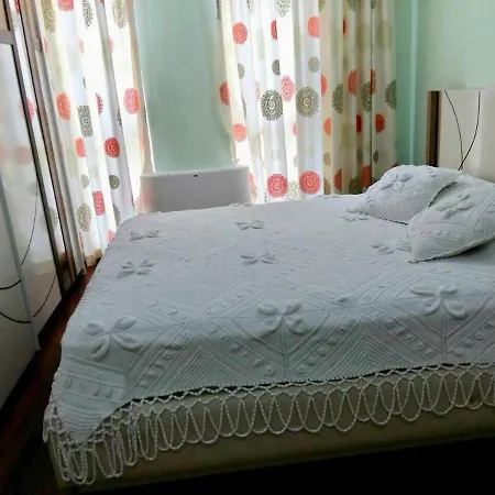 Relax Near The Trees